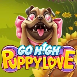 game logo by RubyPlay on verywell.eu.com